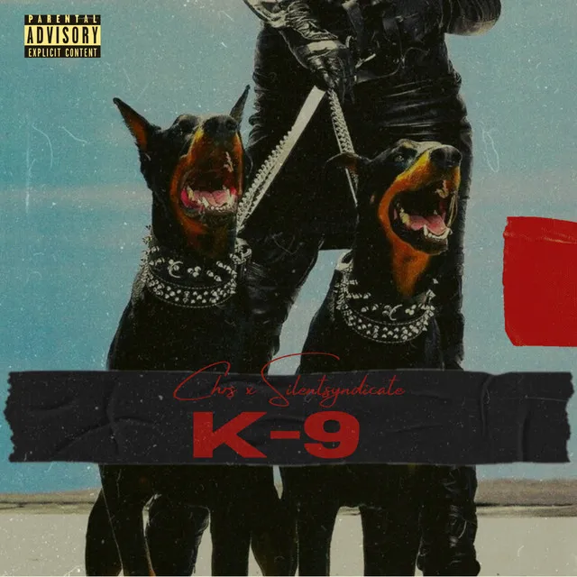 K-9