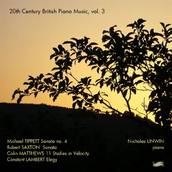 Unwin, N.: 20th Century British Piano Music, vol. 3 by Nicholas Unwin