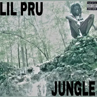 Jungle by Lil Pru