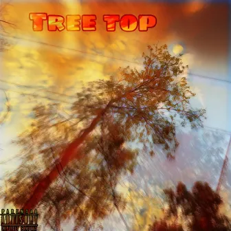 Tree top by HeartInTheShore