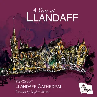 A Year at Llandaff by Aaron Shilson