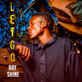 Let Go by Ray Shine