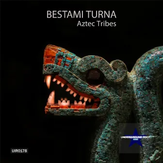 Aztec Tribes by Bestami Turna