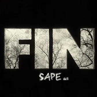 Fin by Sape MC