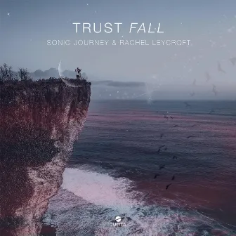 Trust Fall by Sonic Journey