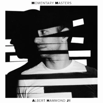 Momentary Masters by Albert Hammond Jr