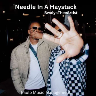 Needle In A Haystack by BwalyaTheeArtist