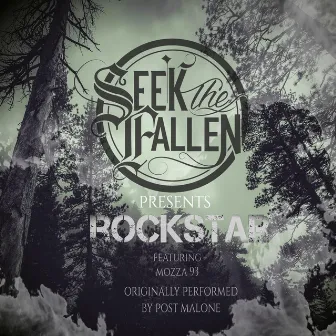 Rockstar by Seek the Fallen