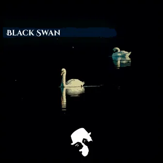 Black Swan by Kondo