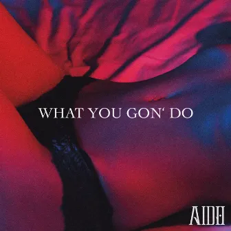 What You Gon' do by AIDO