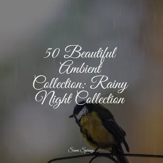 50 Beautiful Ambient Collection: Rainy Night Collection by Study Zone