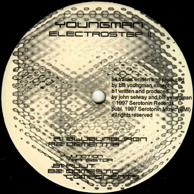 Electrostep II