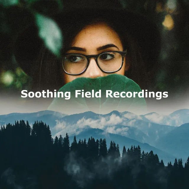 Soothing Field Recordings