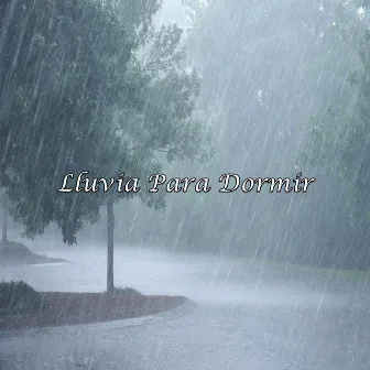 Lluvia para Dormir by Lluvia Torrencial