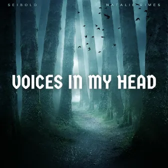 Voices In My Head by Seibold