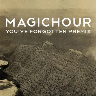 You've Forgotten Premix by MagicHour