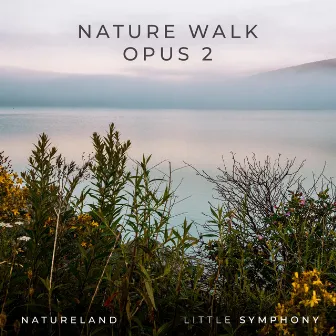 Nature Walk, Opus 2 by Natureland