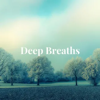 Deep Breaths by Clarity of Mind