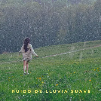 Ruido De Lluvia Suave by Terapia de relajación y alivio del estrés