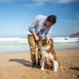 Oceanic Pet Comfort: Soothing Chill Harmony for Serene Companions by Pets