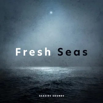 Fresh Seas by Unknown Artist