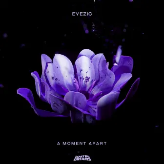 A Moment Apart by Eyezic