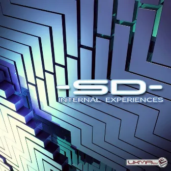 Internal Experiences by -Sd-