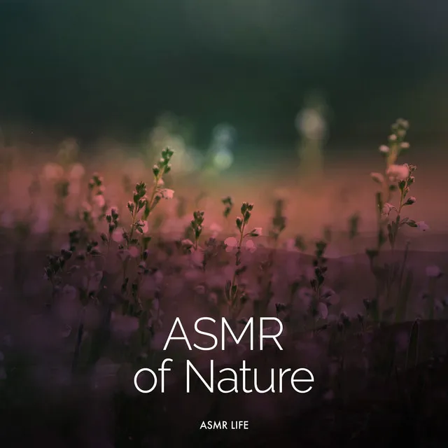 ASMR of Nature