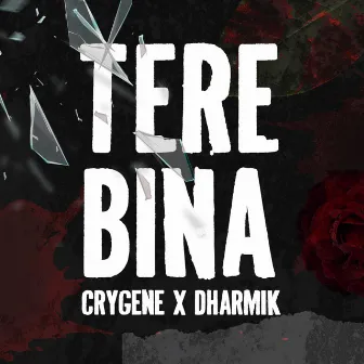 Tere Bina by CryGene