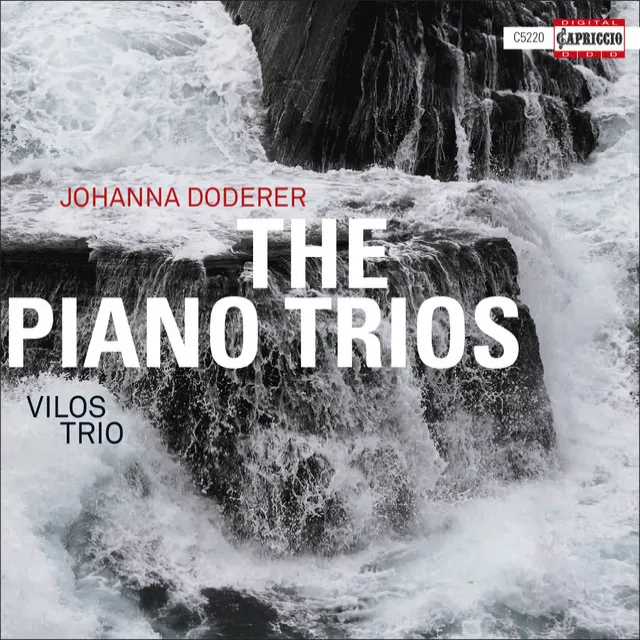 Piano Trio No. 4, DWV 79 "Morning": II. Moderato