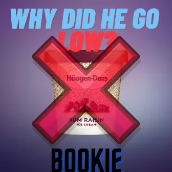 Why Did He Go Low by Bookie