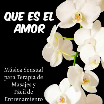 Que es el Amor - Música Sensual para Terapia de Masajes y Fácil de Entrenamiento, Sonidos Lounge Chillout Instrumental Romantica by Unknown Artist