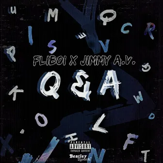 Q & A by Flib0i