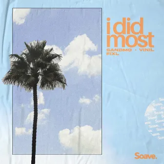 I Did Most by Vinil