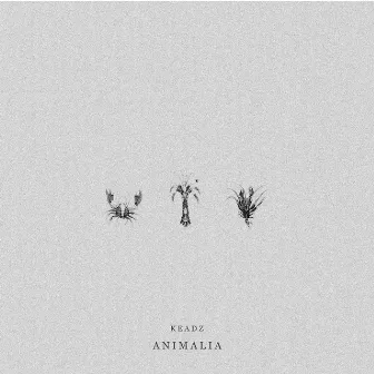 Animalia by Keadz