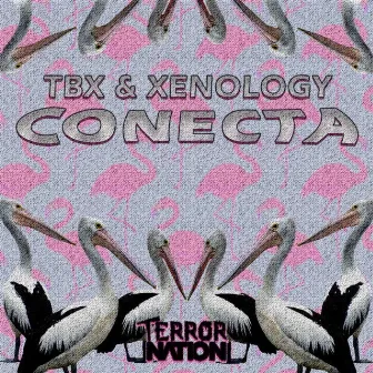 Conecta by TBX