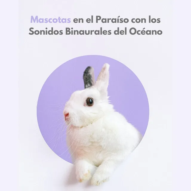 Mascotas En El Paraíso Con Los Sonidos Binaurales Del Océano