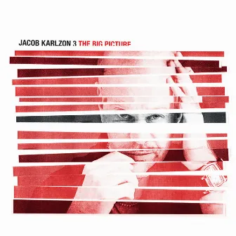 The Big Picture by Jacob Karlzon