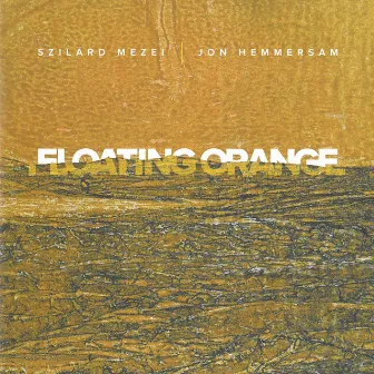 Floating Orange by Szilard Mezei