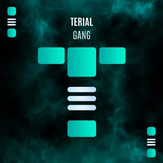 Gang (Radio Version) by TERIAL