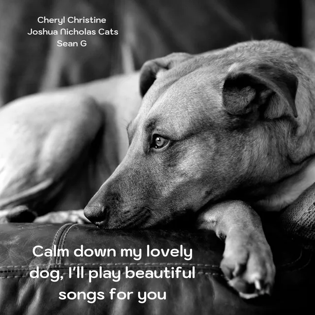 Calm down my lovely dog, I'll play beautiful songs for you