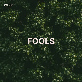 Fools by WLKR