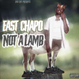 Not a Lamb by East Chapo