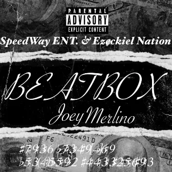 Beatbox Freestyle by Joey Merlino