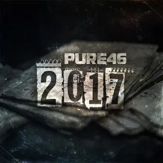 2017 by Pure46