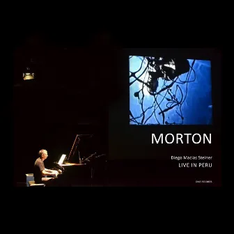 MORTON (Live in Peru) by DIEGO MACIAS STEINER