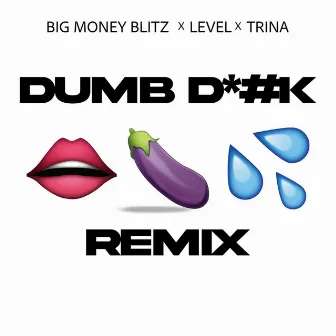 Dumb Dick (Remix) by Unknown Artist