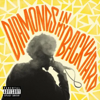 Diamonds in My Backyard by Jahson The Scientist