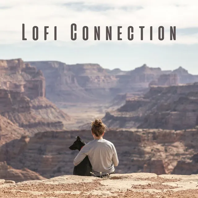 Lofi Connection: Mellow Vibes for Pet's Delight