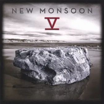 V by New Monsoon